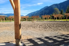 Arbour